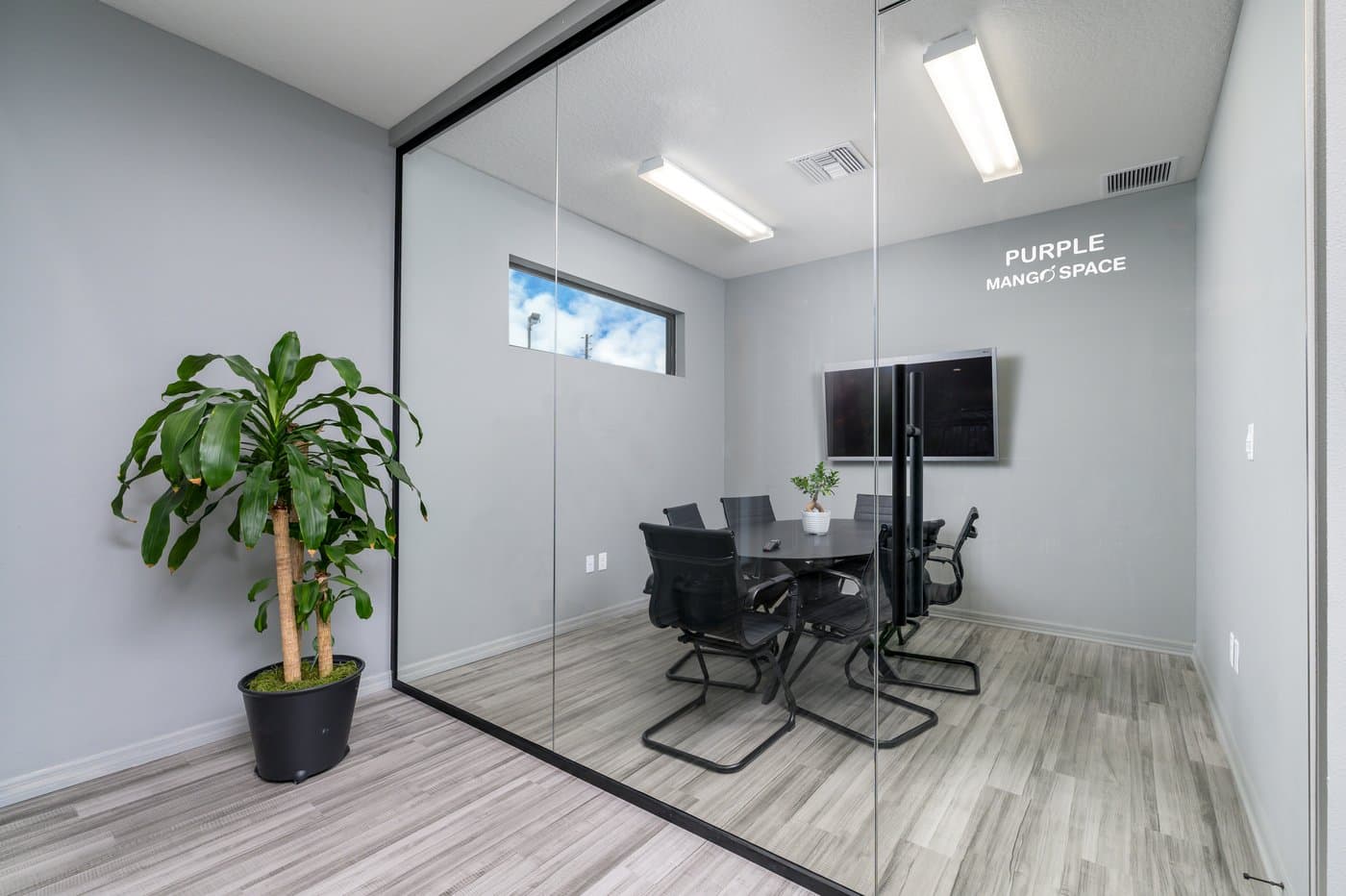 Purple Mango meeting room: a glass-walled room for small meetings, with a wall display. Purple Mango meeting room: a glass-walled room for small meetings, with a wall display.