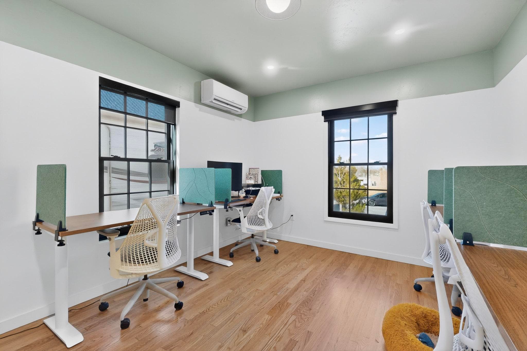 Shared Office Shared Office