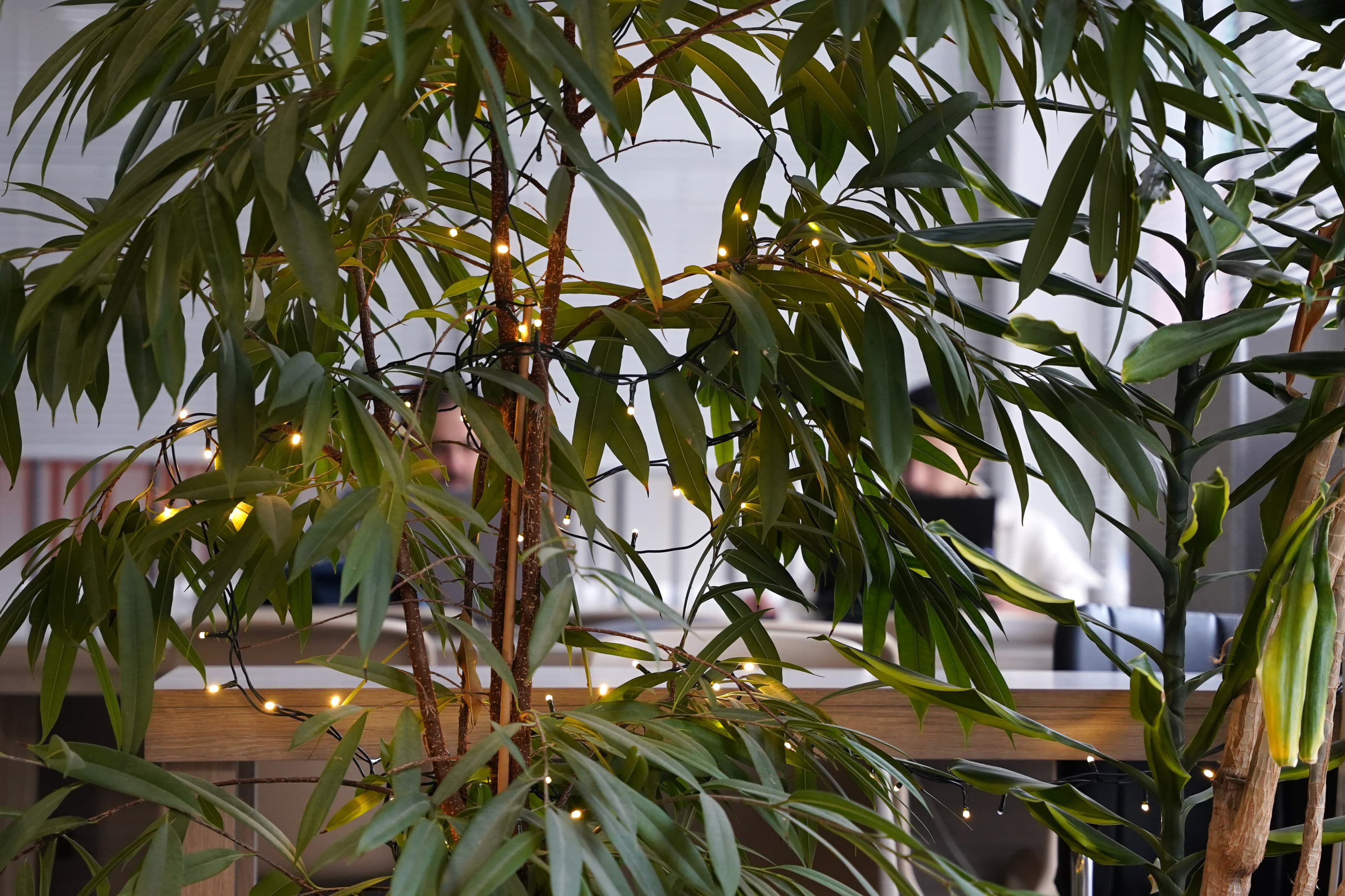 71744-71744-794653.jpg 71744-71744-794653.jpg