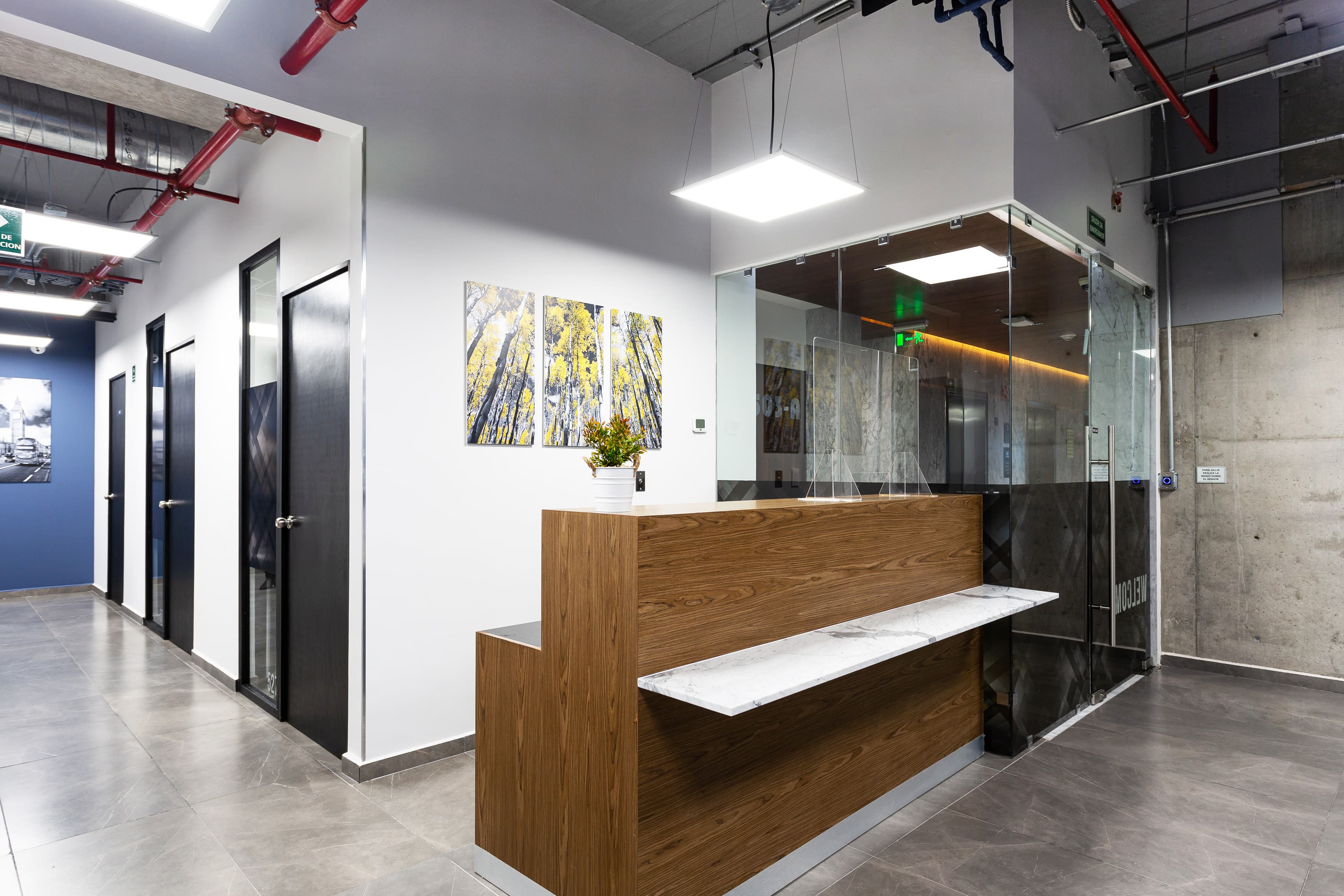 Reception Area Reception Area