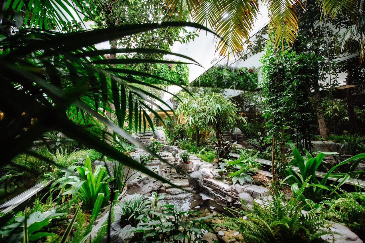 Indoor GardenConference room Indoor GardenConference room