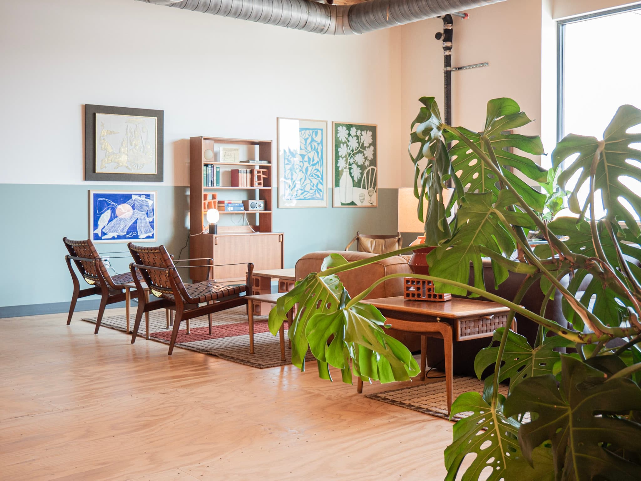 Plants and furniture Plants and furniture