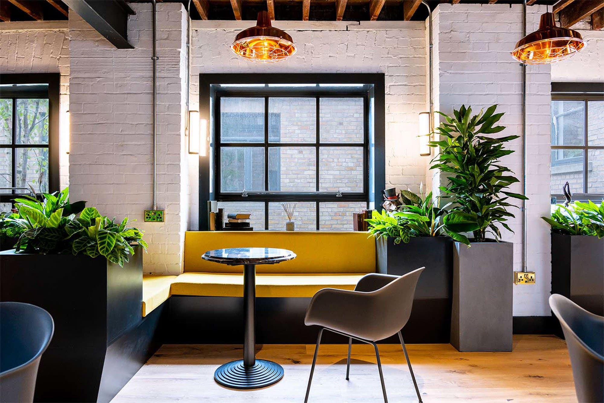 Breakout/Lounge Space Breakout/Lounge Space