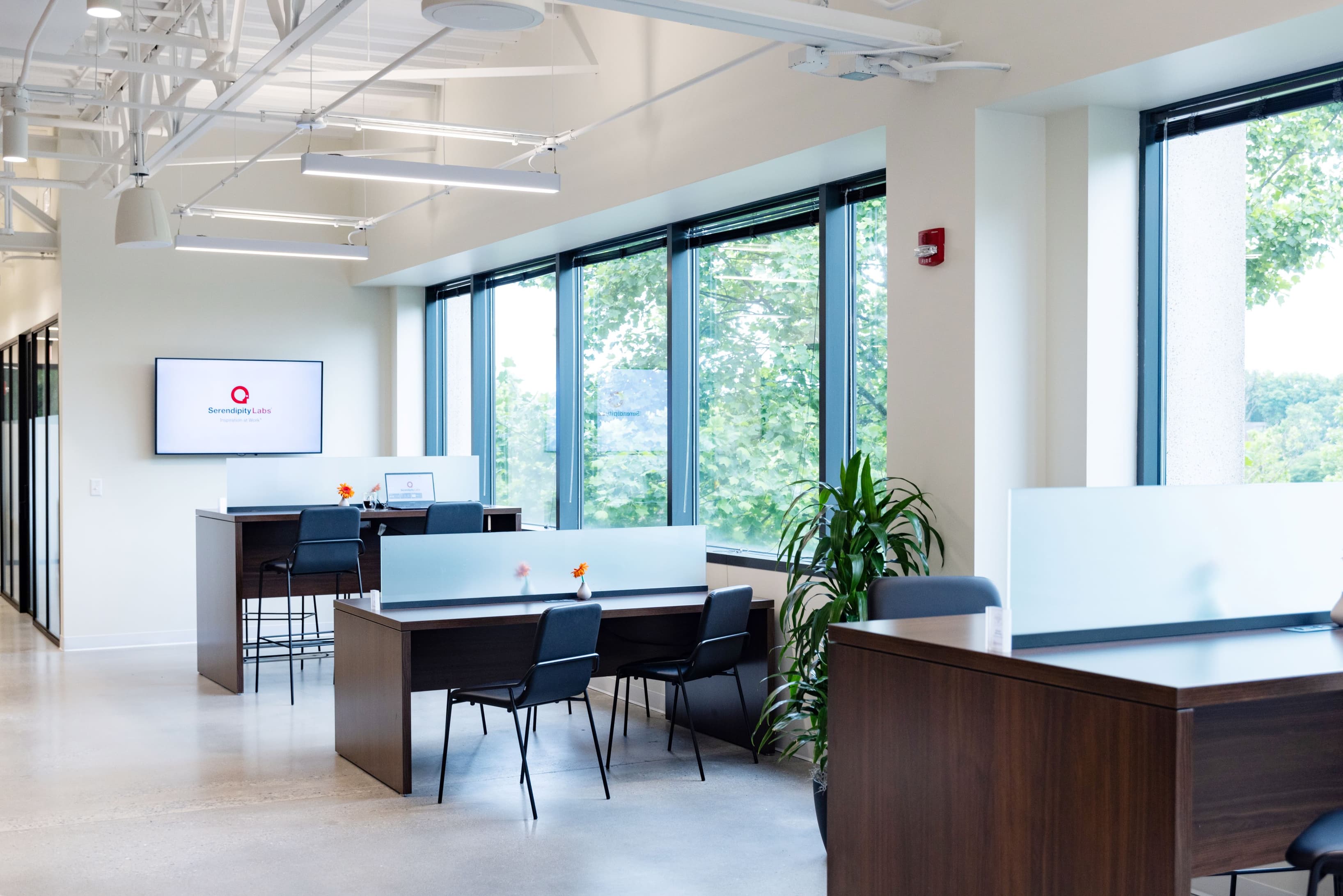 coworking coworking
