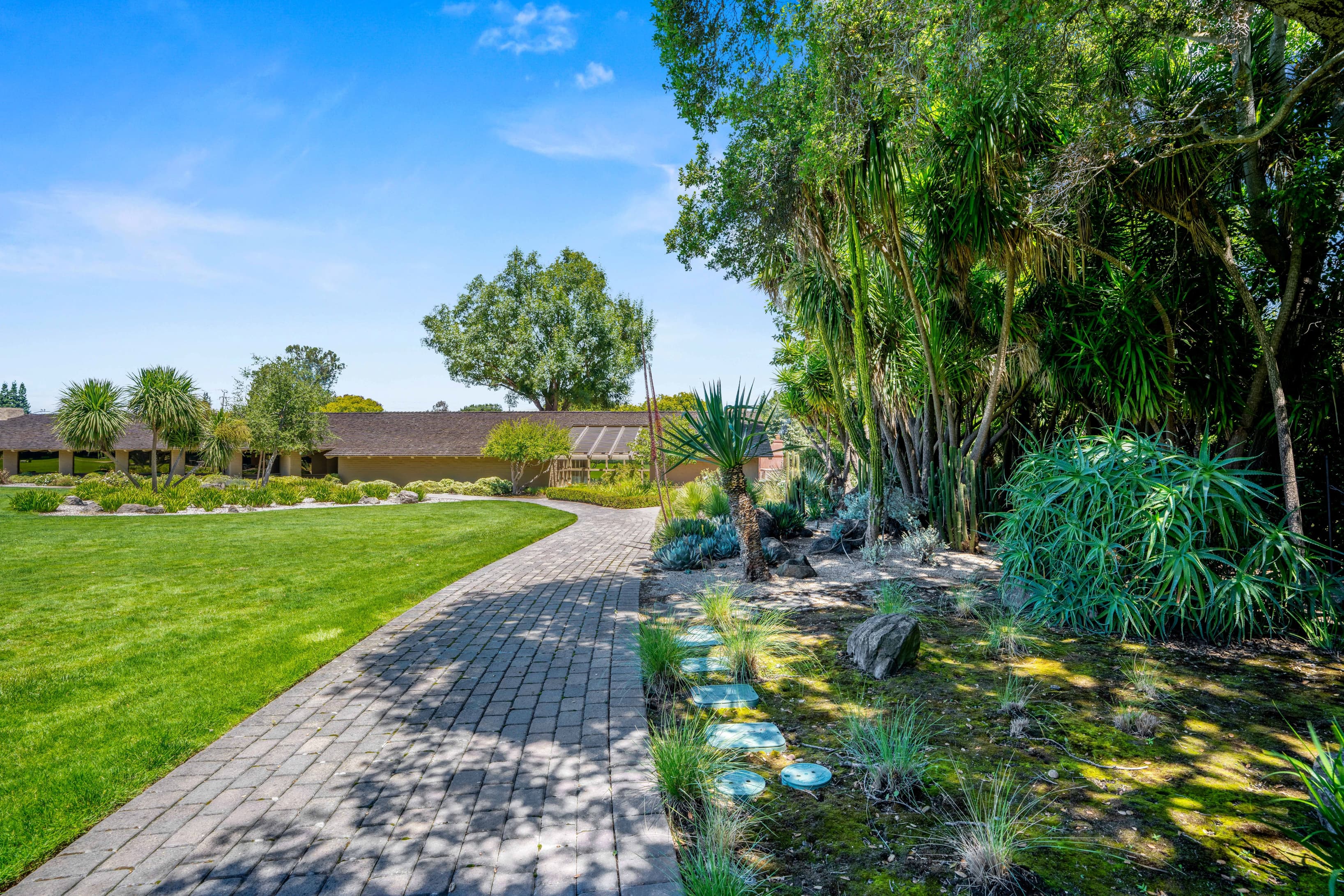 Back Gardens Back Gardens