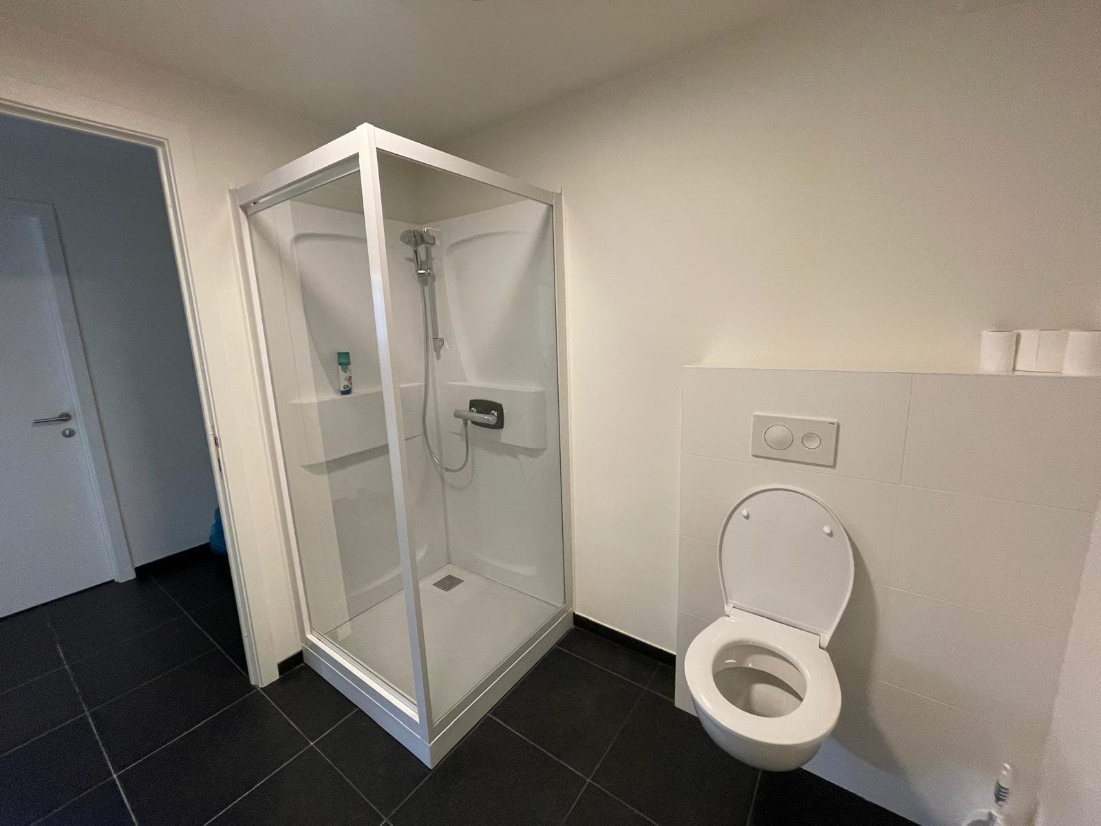 Shower and toilet Shower and toilet