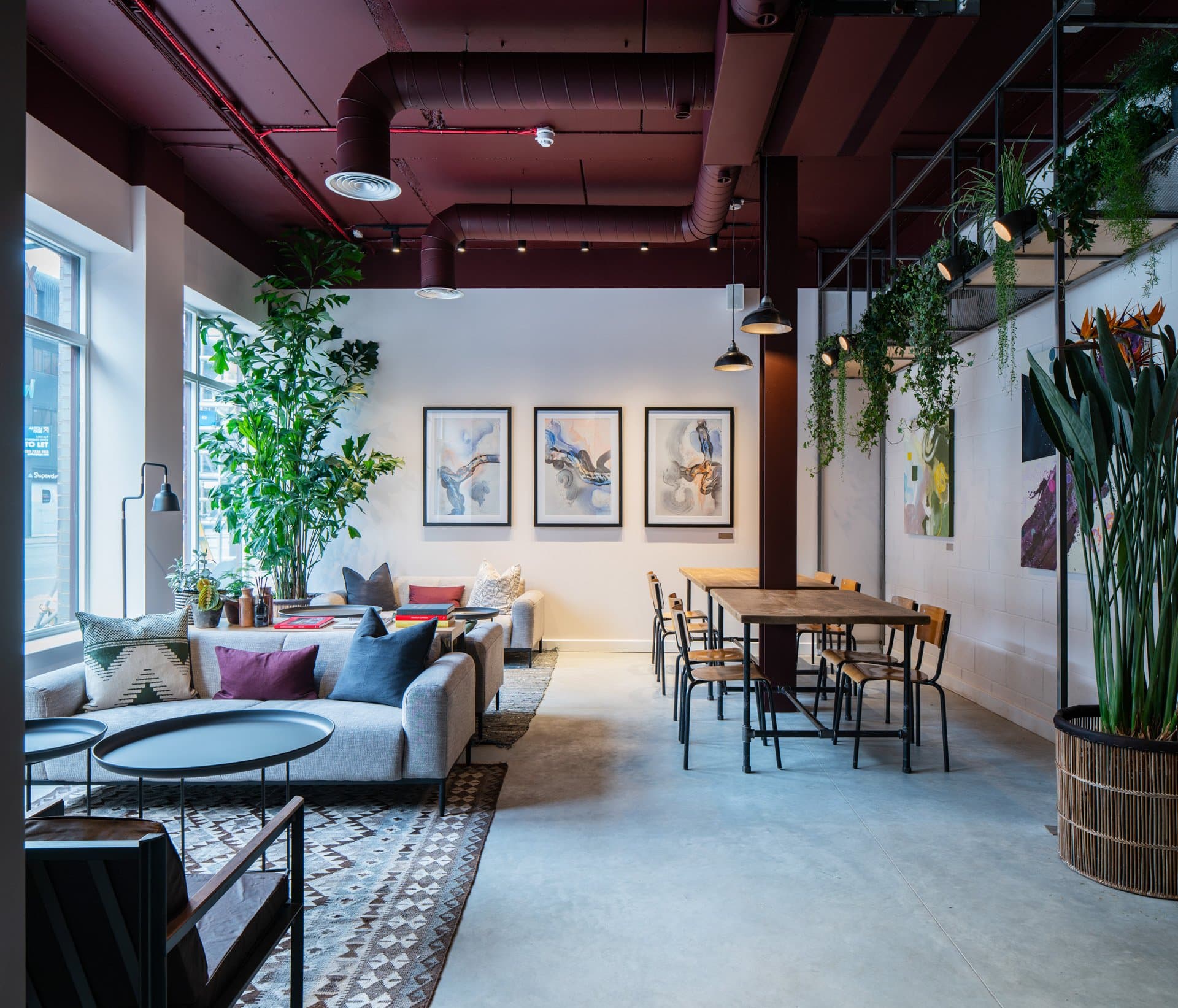 Breakout/Lounge Space Breakout/Lounge Space