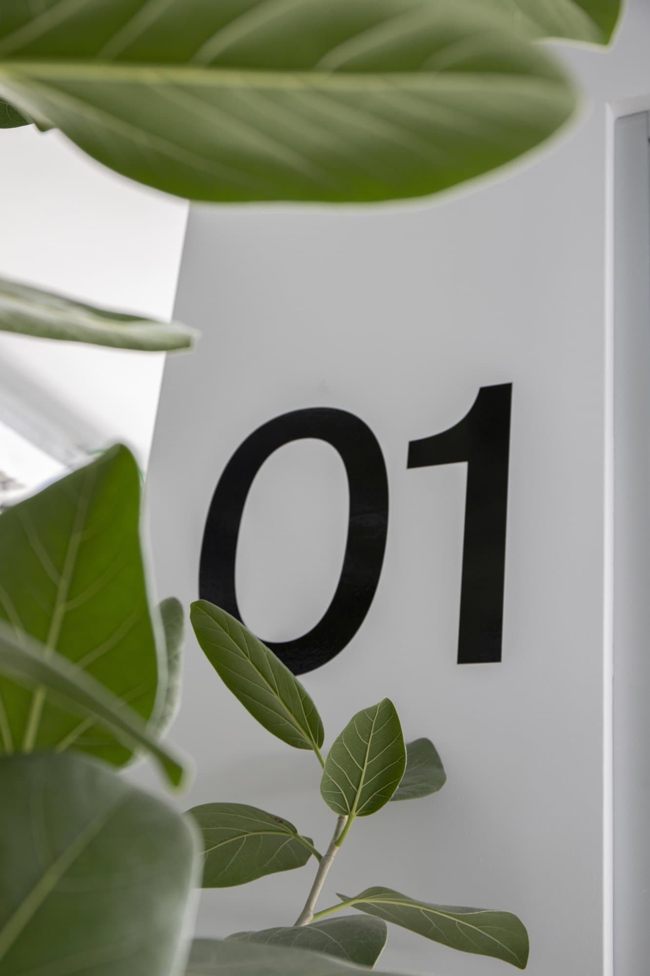 Private office entrance, door number 01. Private office entrance, door number 01.