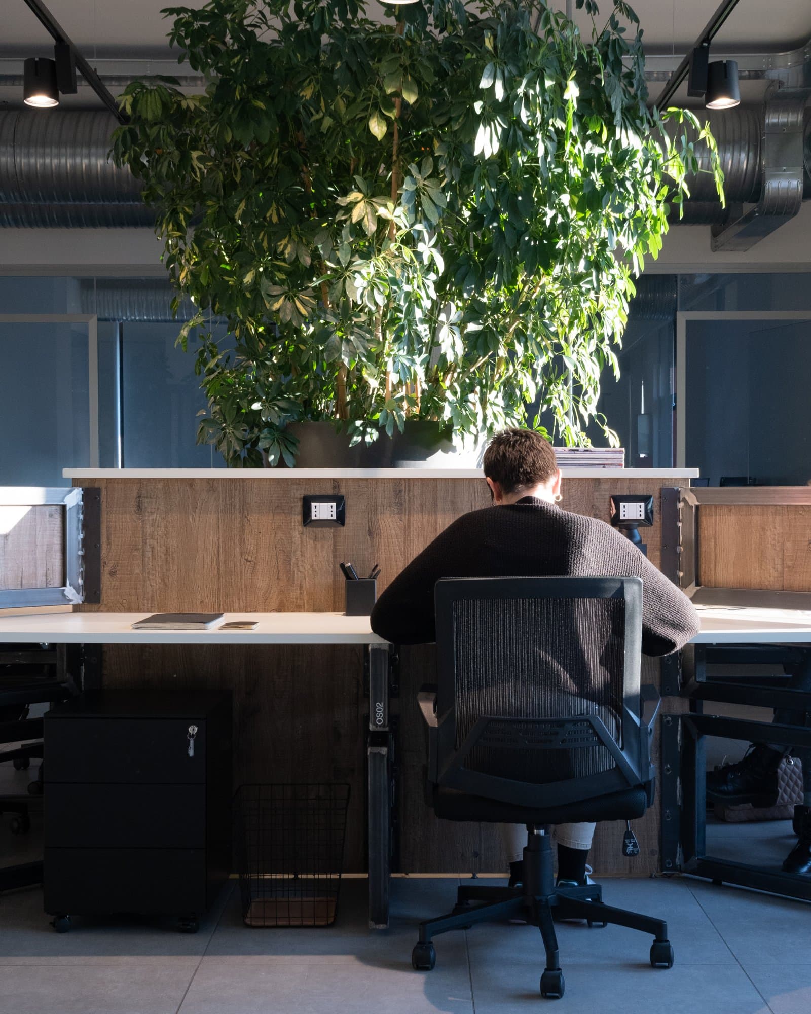 Desk in the open space with an ergonomic chair. Desk in the open space with an ergonomic chair.