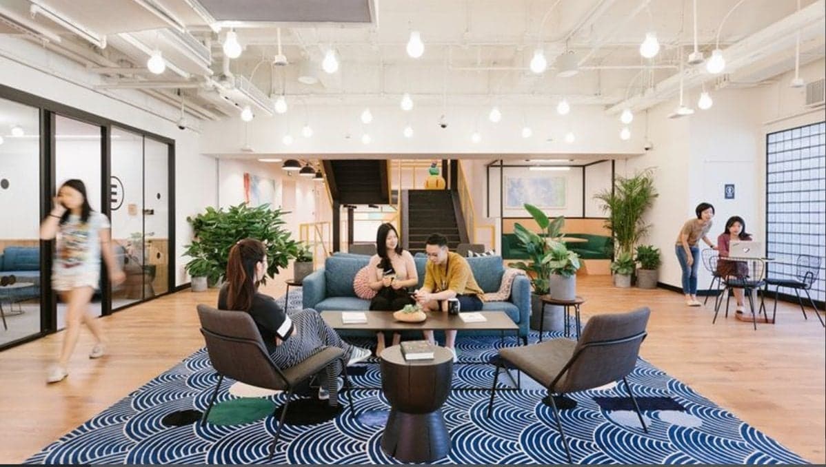 Breakout/Lounge Space Breakout/Lounge Space