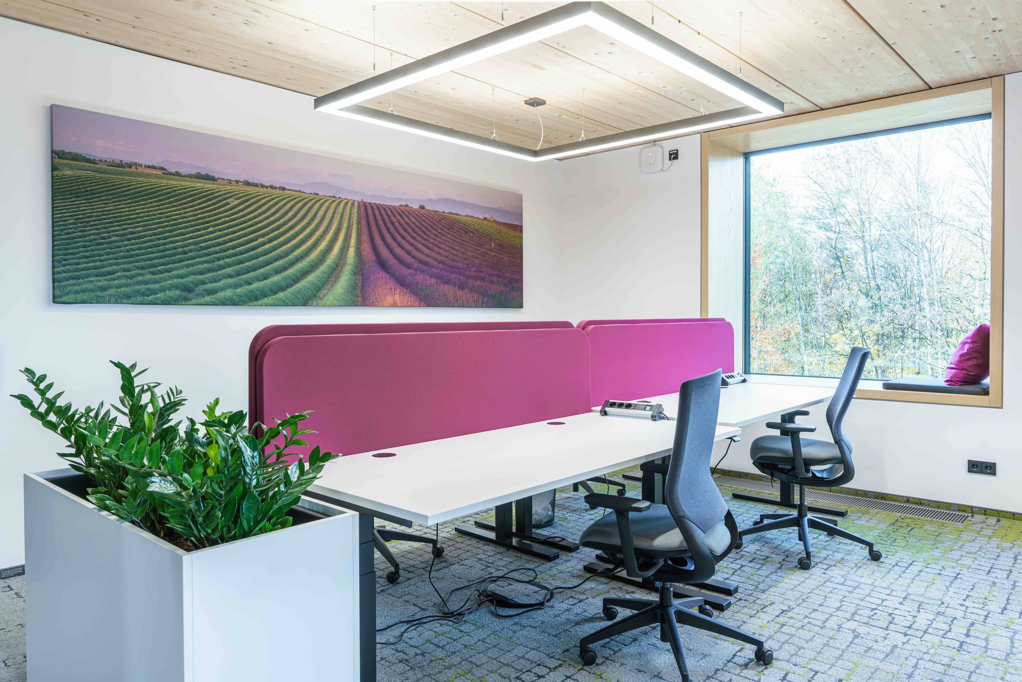 Coworking Area Coworking Area