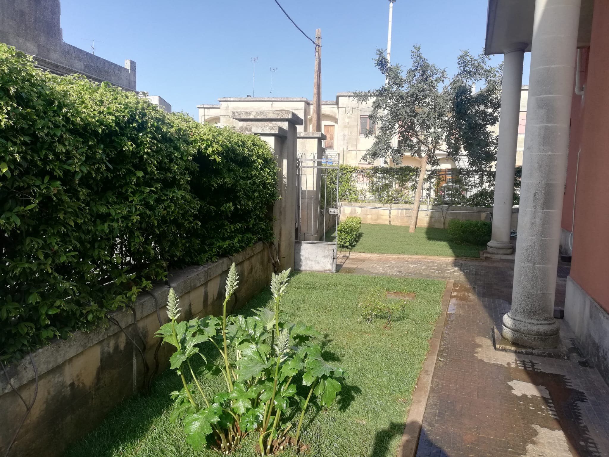 46124-46124-589585.jpg 46124-46124-589585.jpg