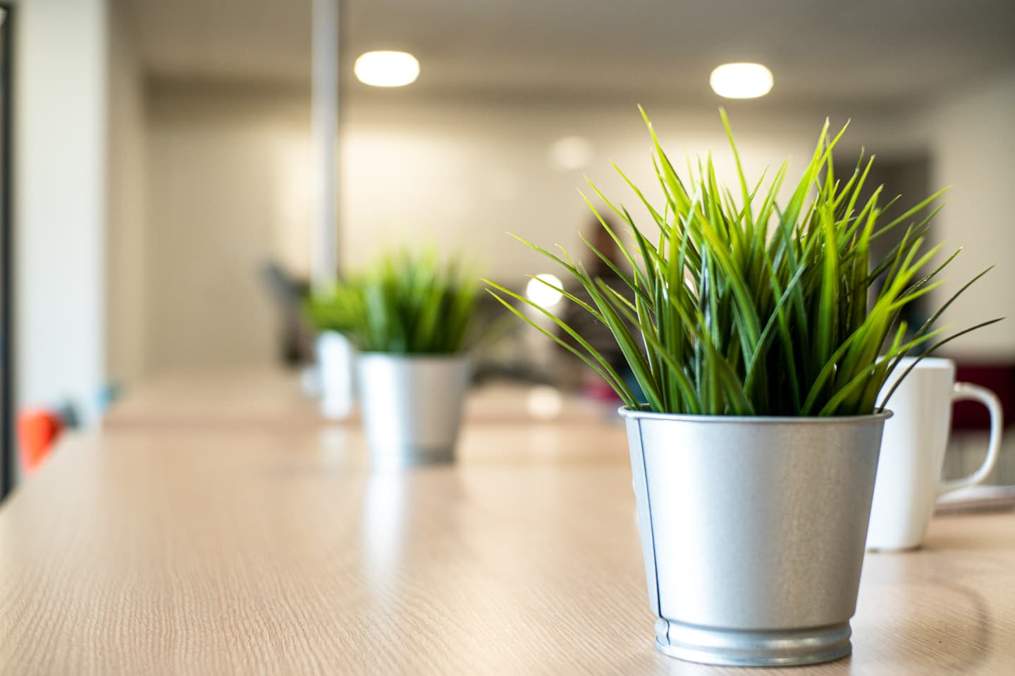 46571-46571-777974.jpg 46571-46571-777974.jpg