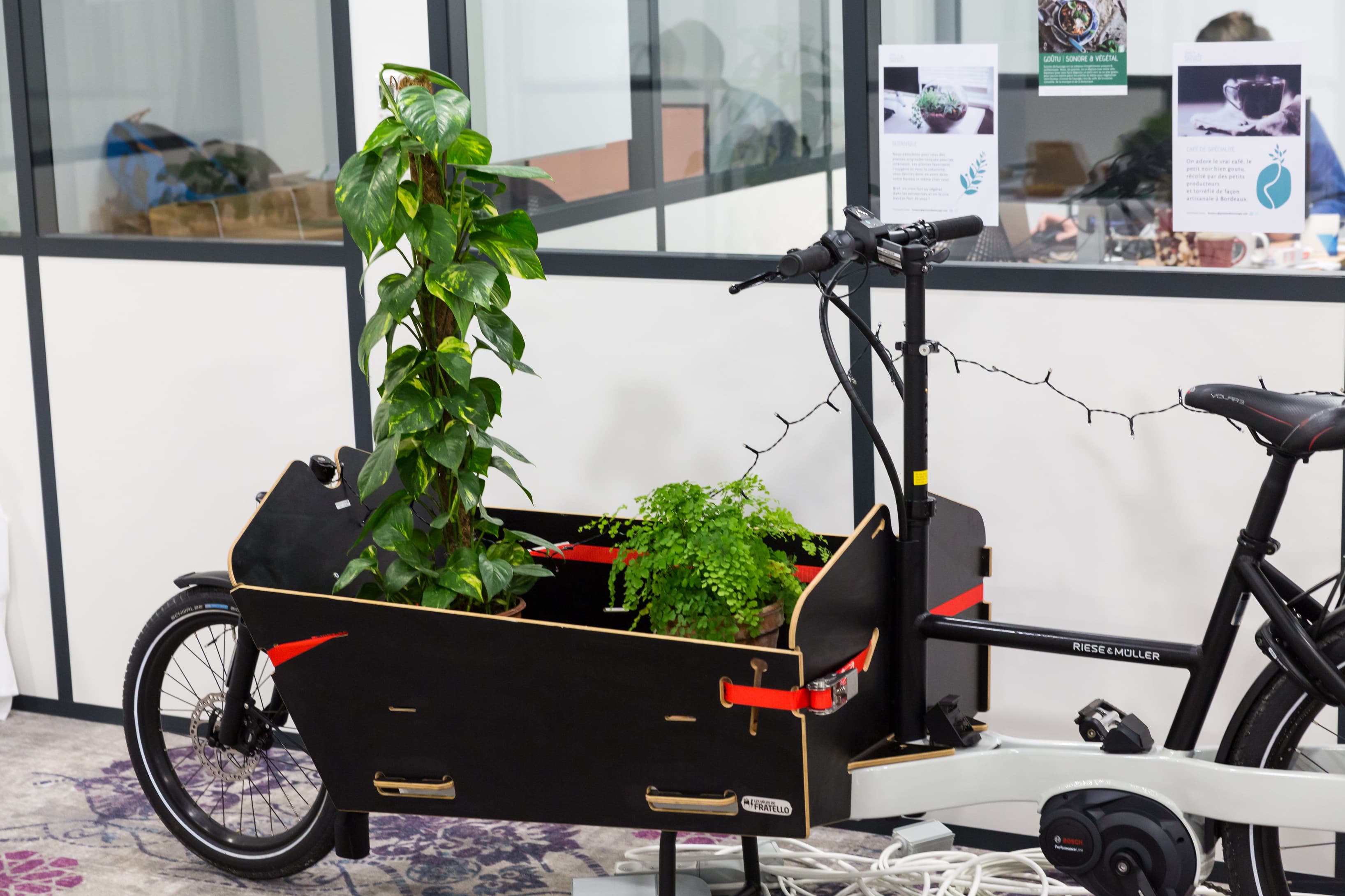 41997-41997-625981.jpg 41997-41997-625981.jpg