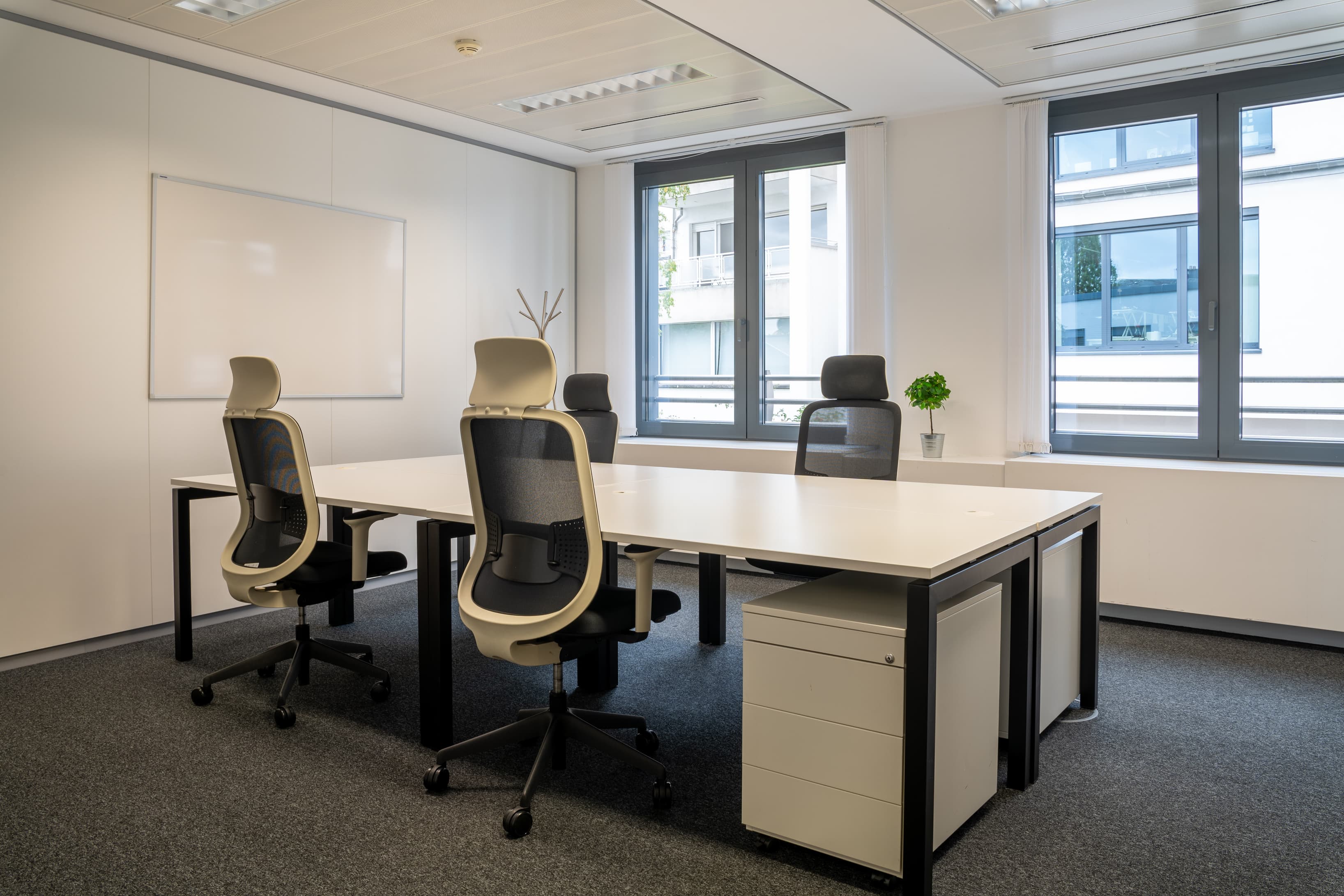 Large Office Large Office