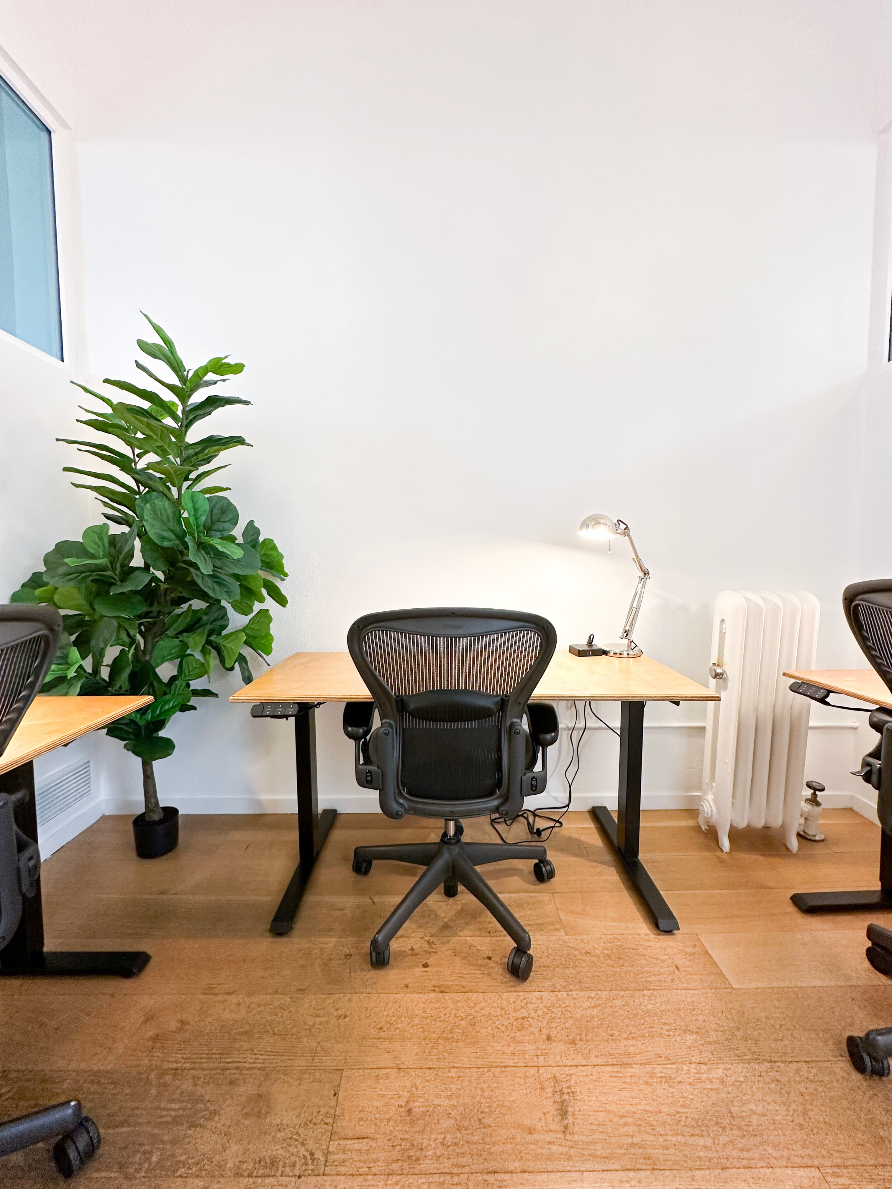 Standing Desks are standard in our private offices Standing Desks are standard in our private offices