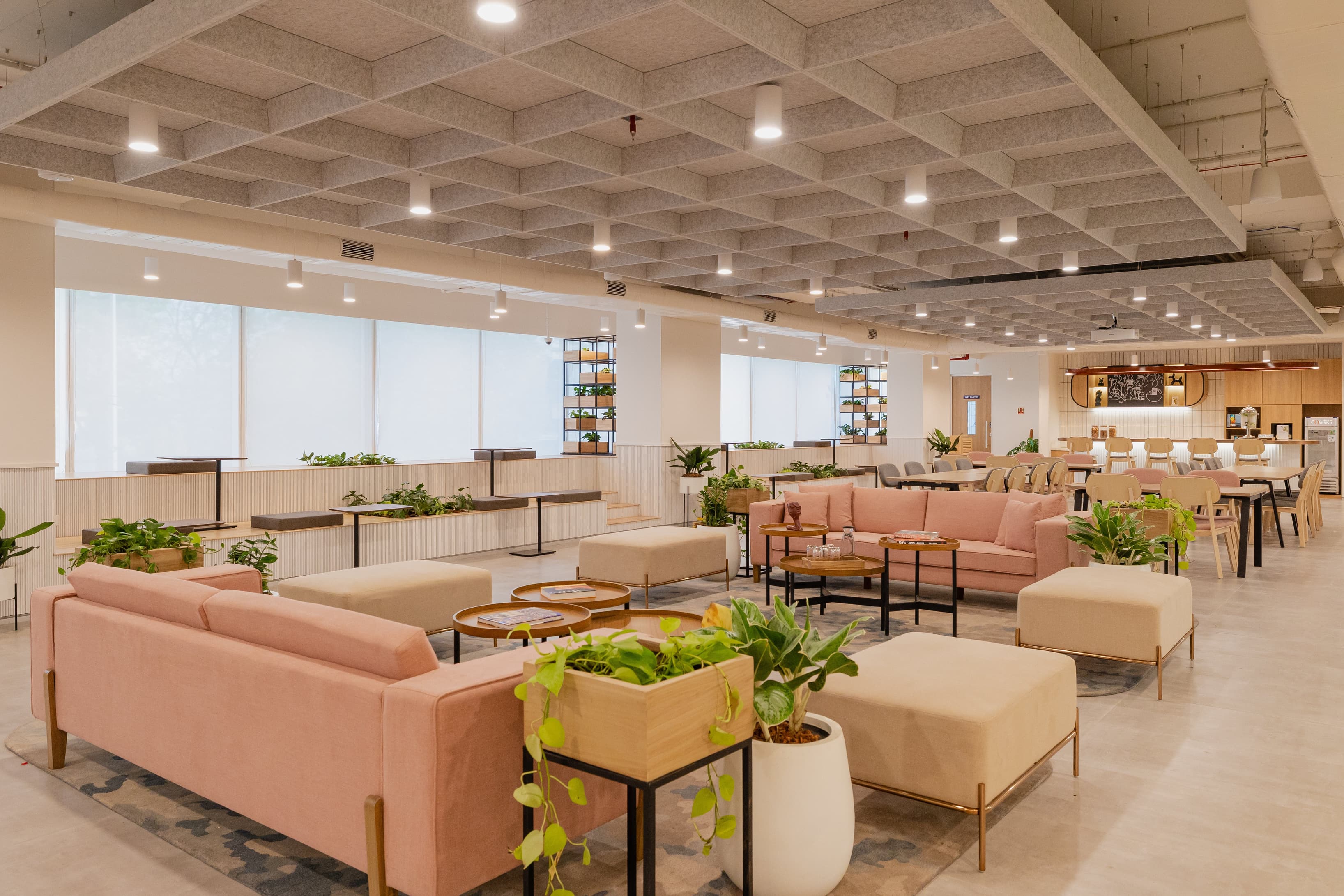 Breakout/Lounge Space Breakout/Lounge Space