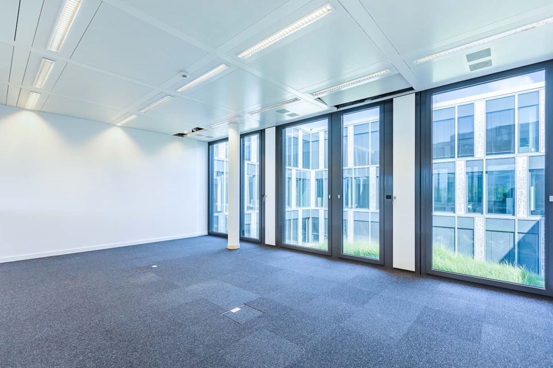 53384-53384-786232.jpg 53384-53384-786232.jpg