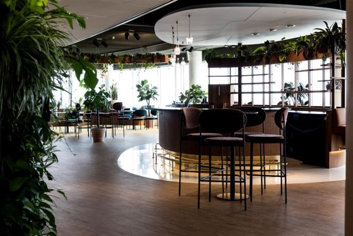 Breakout/Lounge Space Breakout/Lounge Space