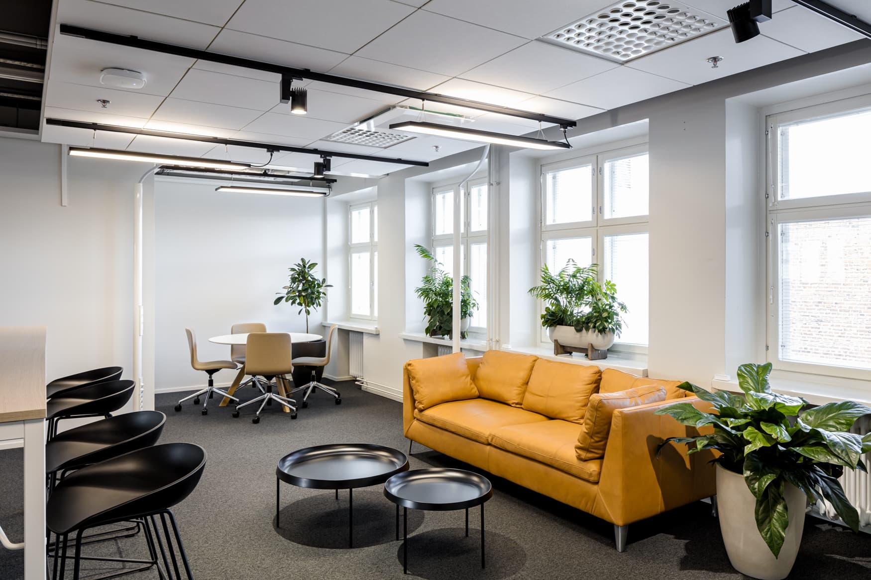 Breakout/Lounge Space Breakout/Lounge Space