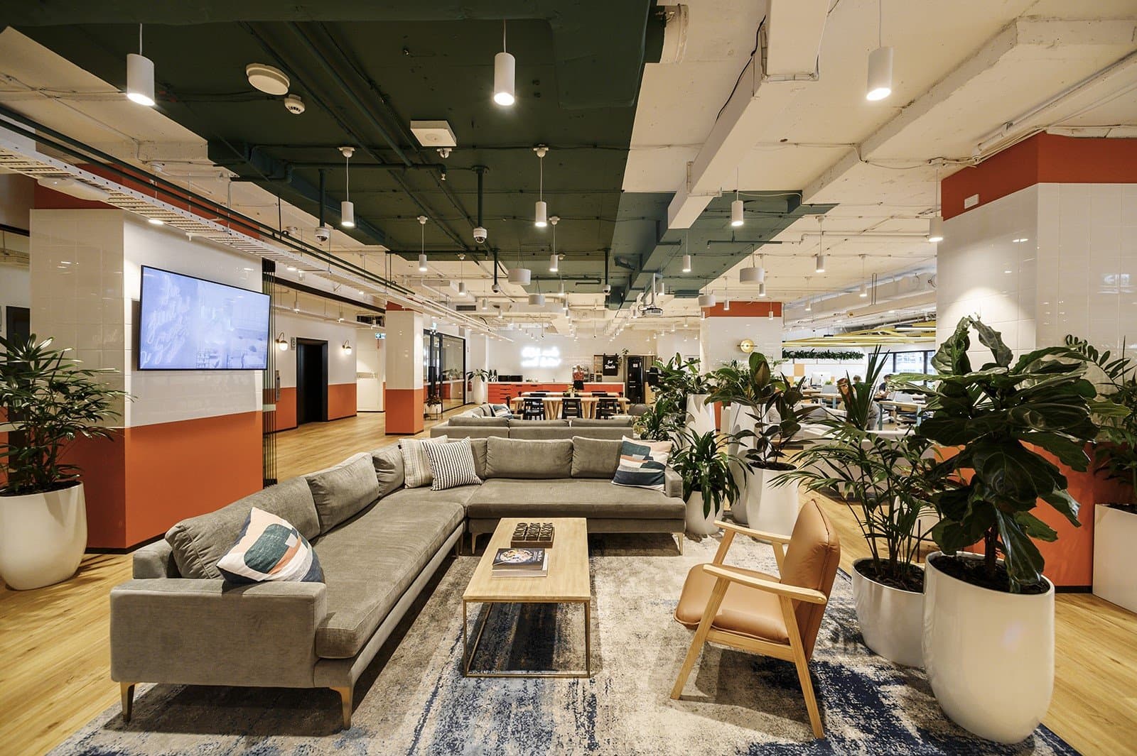 Breakout/Lounge Space Breakout/Lounge Space