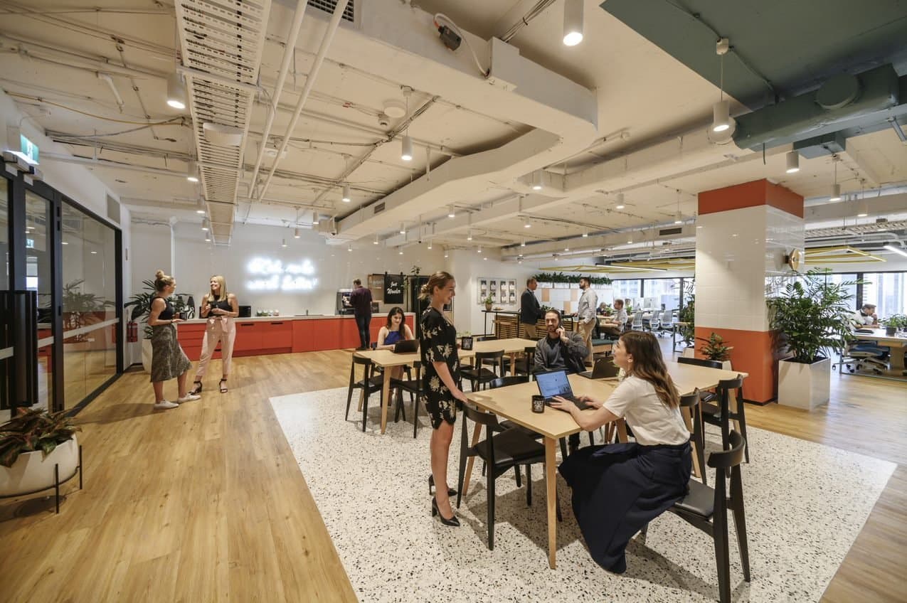 Breakout/Lounge Space Breakout/Lounge Space