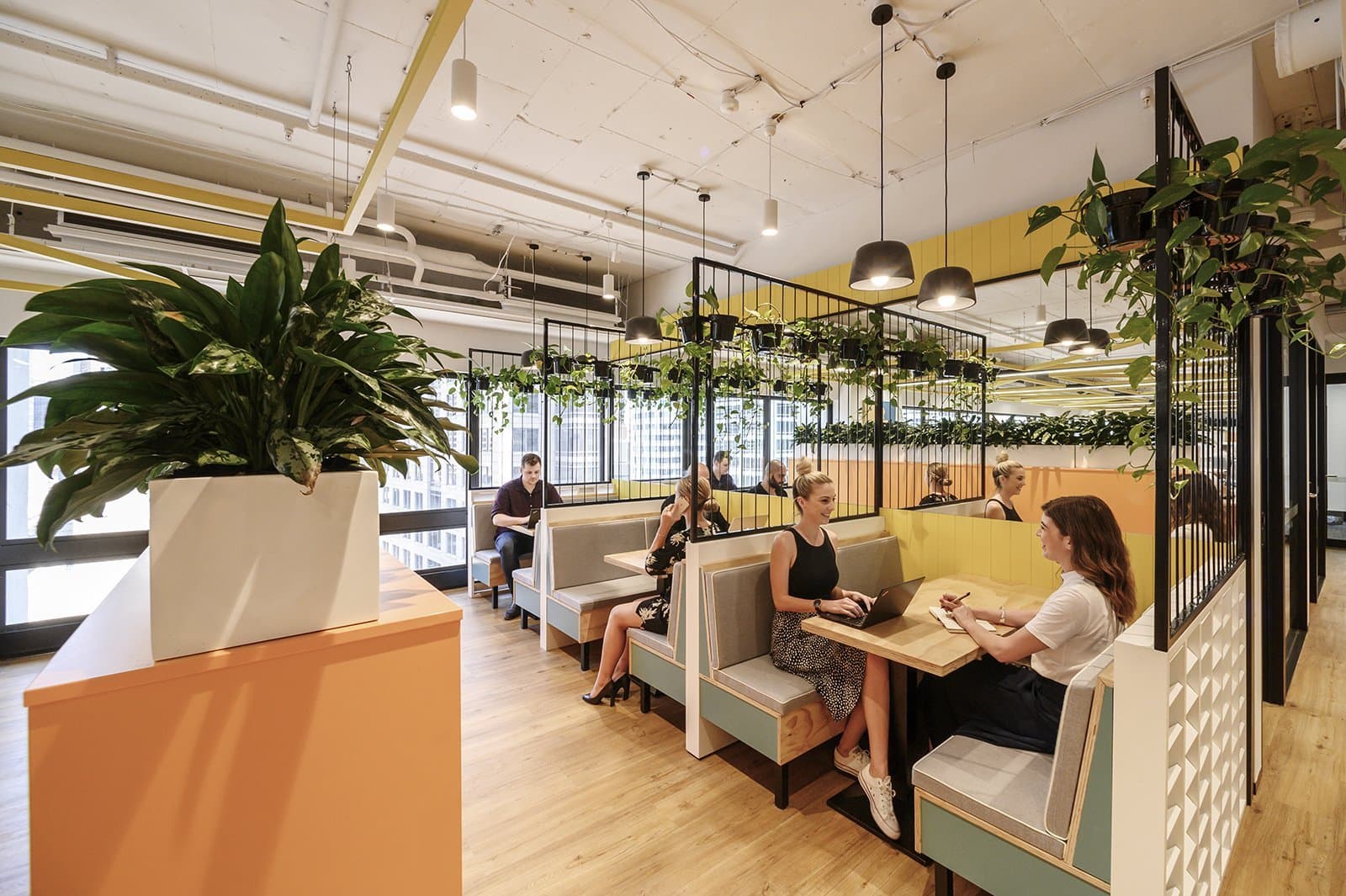 Breakout/Lounge Space Breakout/Lounge Space