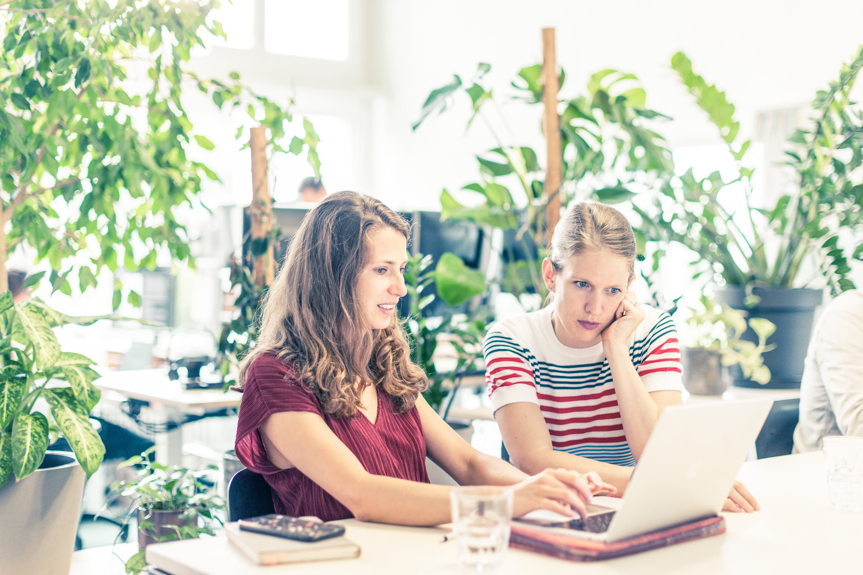 Two Coworkers Collaborating at a Shared Desk Two Coworkers Collaborating at a Shared Desk