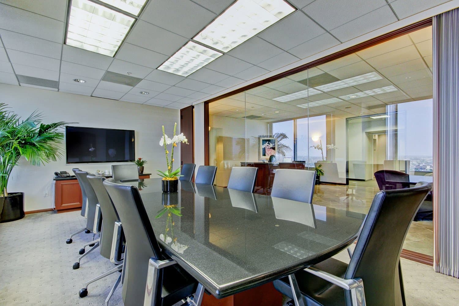 Large Conference Room Large Conference Room