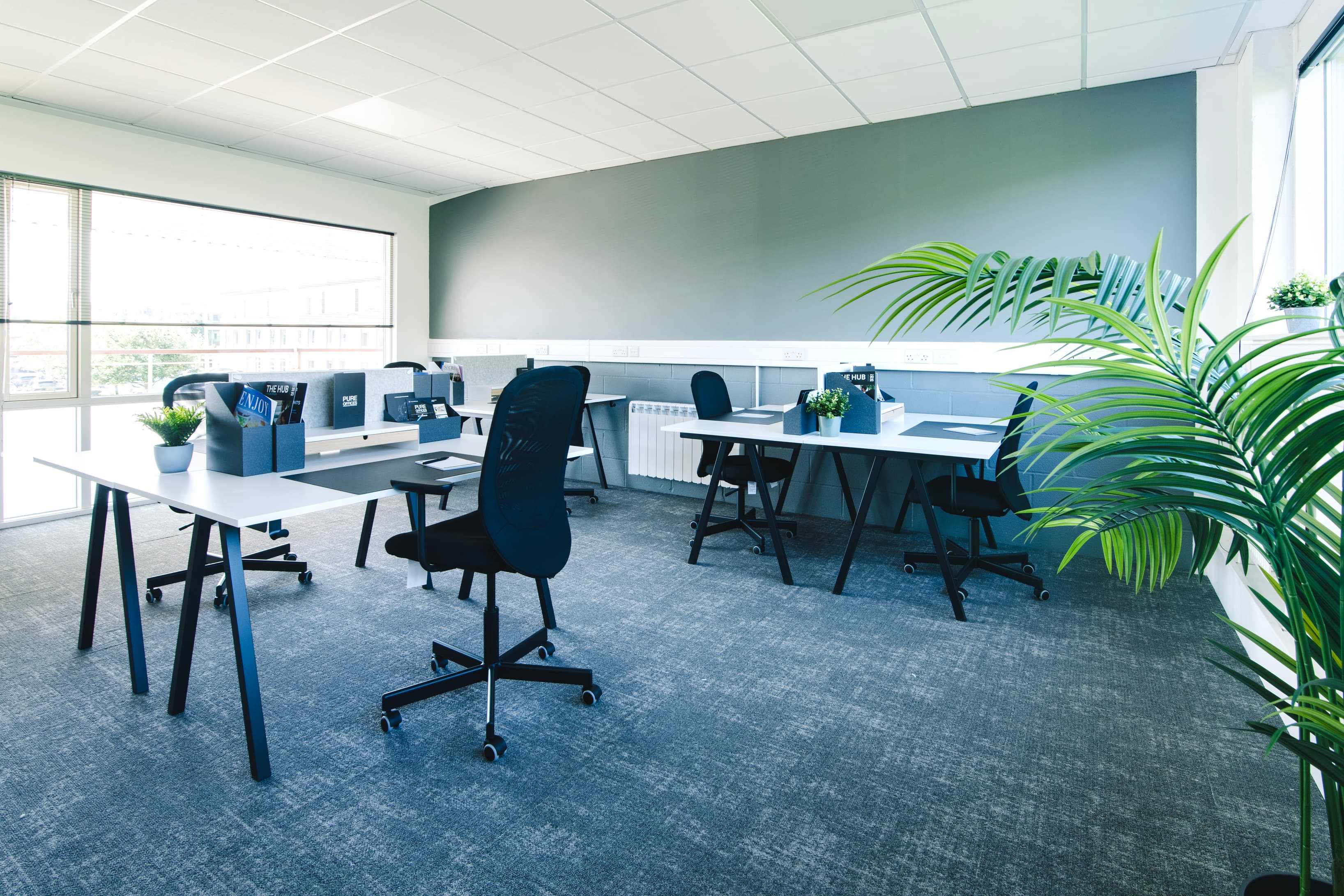 Show Suite Show Suite