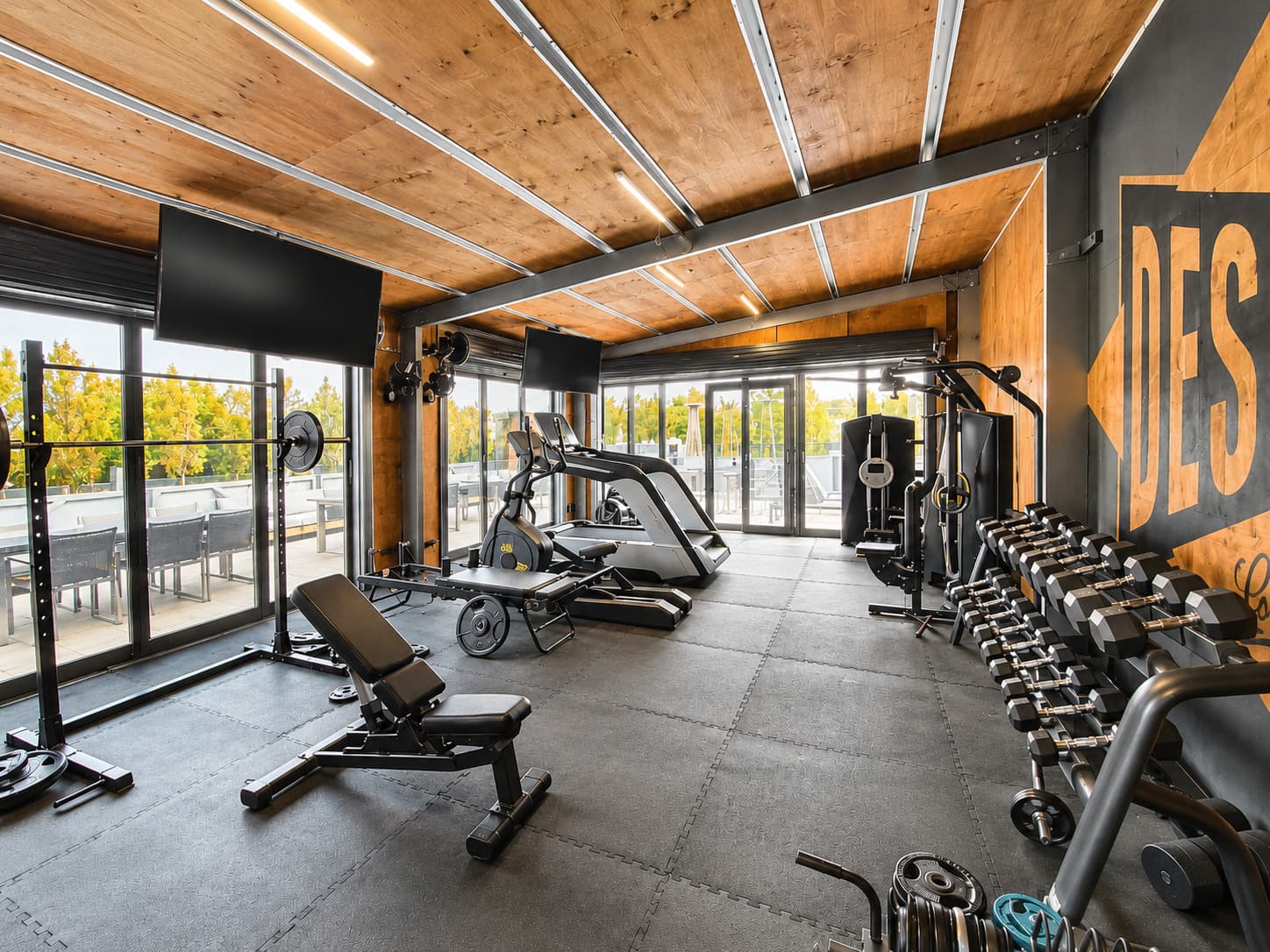 Gym Gym