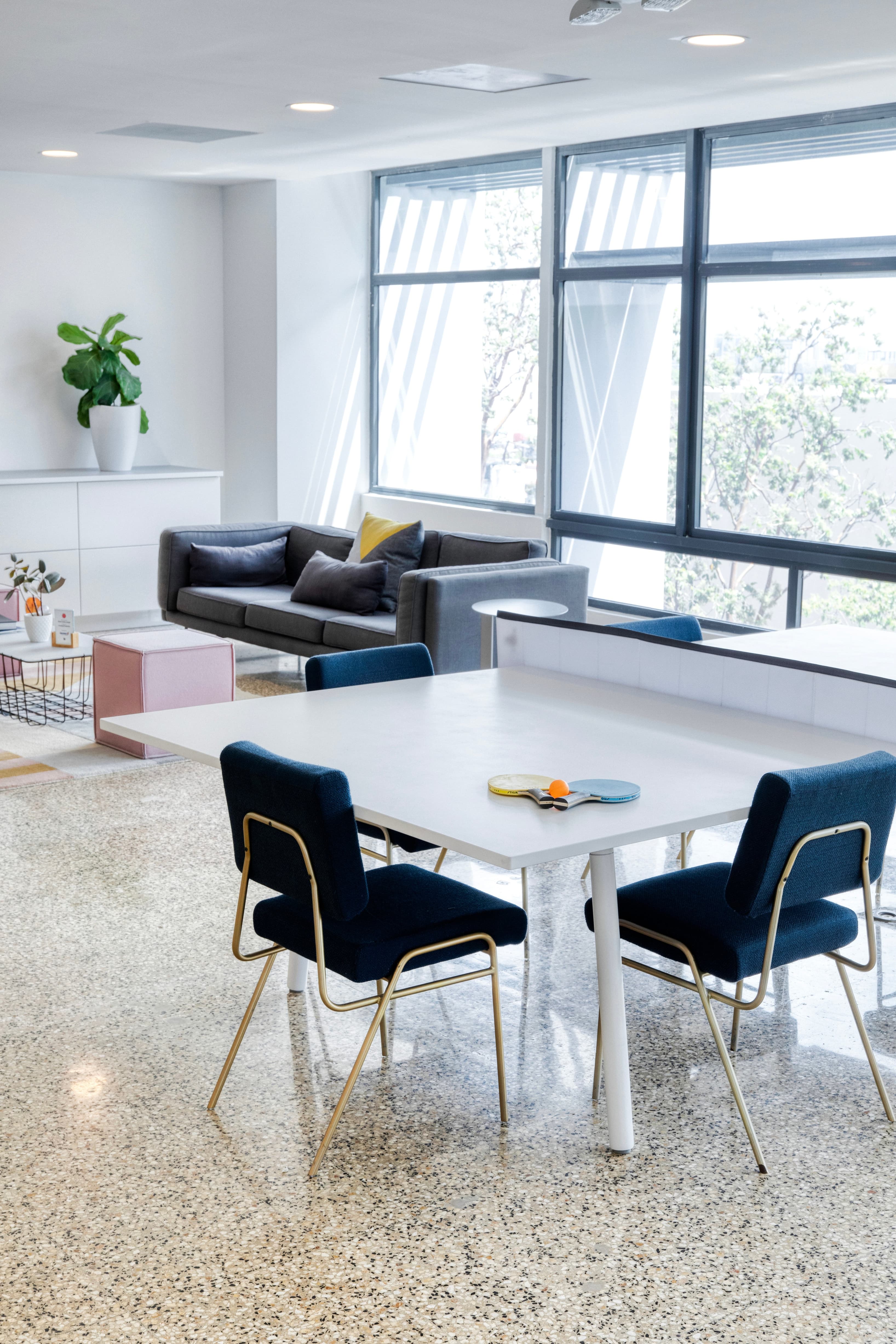 Breakout/Lounge Space Breakout/Lounge Space